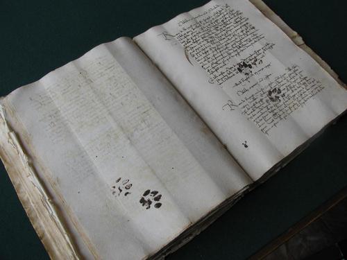 Inky cat pawprints on 15th century manuscript