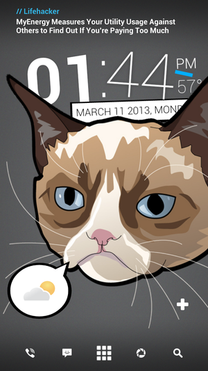 Grumpy Cat homescreen hack