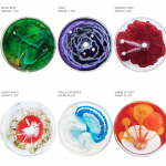Petri dishes with colorful growths