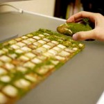 Mac keyboard and mouse with moss growing on them