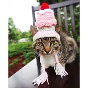 Cat wearing pink-and-white knitted hat