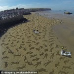 Silhouettes on beach