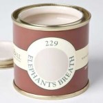 "Elephant's Breath" paint