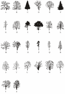 Free Tree Font Friday – NICOLA GINZLER