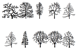 Free Tree Font Friday – NICOLA GINZLER