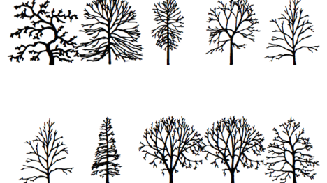 The phrase "about trees" in the Tree font
