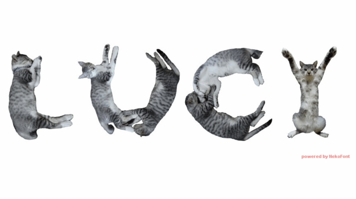 Fanciful image: photos of tabby cats in various positions spelling out "LUCY"