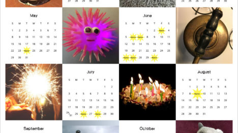 2016 Calendar — More Round Things