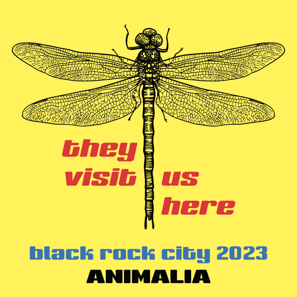 Bright yellow background has large, realistic illustration of dragonfly centered on it. Centered text in red says "They visit us here." Centered text in blue below that says "Black Rock City 2023" and below that "ANIMALIA" in black.