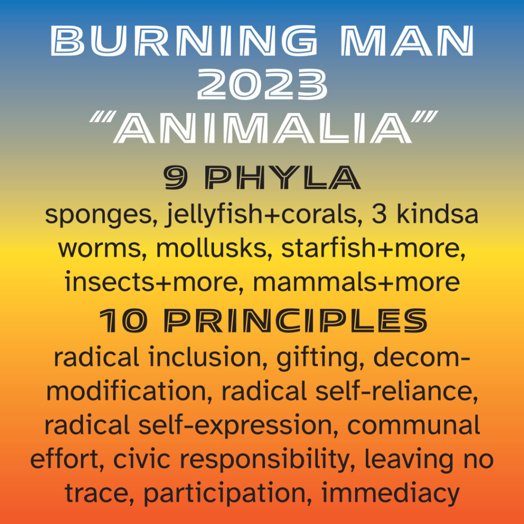 The sticker has a vertical background gradient, shading from sky blue at the top, through yellow in the middle, to orange at the bottom. There's text centered over that: [in bold white capitals] Burning Man 2023 “Animalia” [then in black capitals] 9 Phyla [then in black all lower-case] sponges, jellyfish+corals, 3 kindsa worms, mollusks, starfish+more, insects+more, mammals+more [in bold caps] 10 Principles [in all lower case] radical inclusion, gifting, decommodification, radical self-reliance, radical self-expression, communal effort, civic responsibility, leaving no trace, participation, immediacy