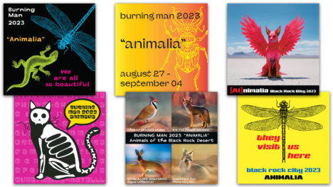 Six sticker designs are described in detail in post. Left to right, top row: "We are all so beautiful"; "Animalia" with curvy, fanciful beetle; "(AI)nimalia" with pink fox-bird; Left to right, bottom row: Taxonomy of a cat with an attitude; "Animals of the Black Rock Desert"; "They visit us here" dragonfly