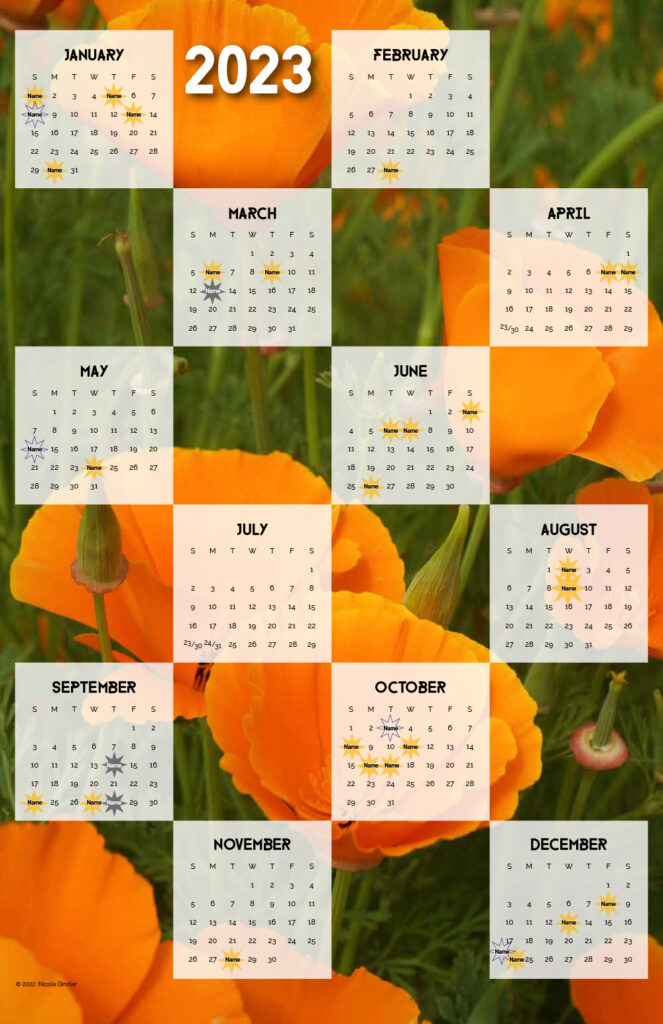 Vertical one-page 2023 calendar with California poppies as the background, and staggered screened-back squares with months and days in them.