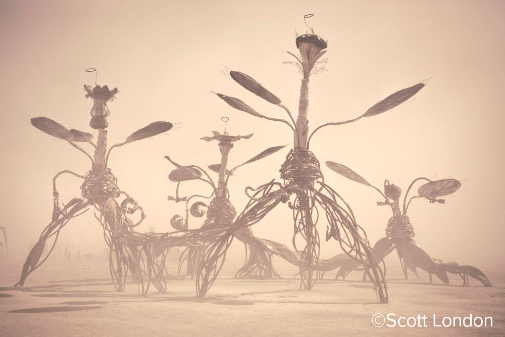 Photo of giant skeletal tripod plant-creatures, medium brown, emerging from a dust storm, pale brown, in the desert at the Burning Man event. Copyright 2008, Scott London.