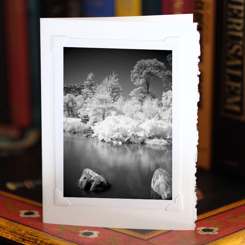 Photo of greeting card on a bookcase, standing up, with a photo attached to it with photo corners. Infrared photo of a lake and vegetation in Golden Gate Park's Botanical Gardens in San Francisco.