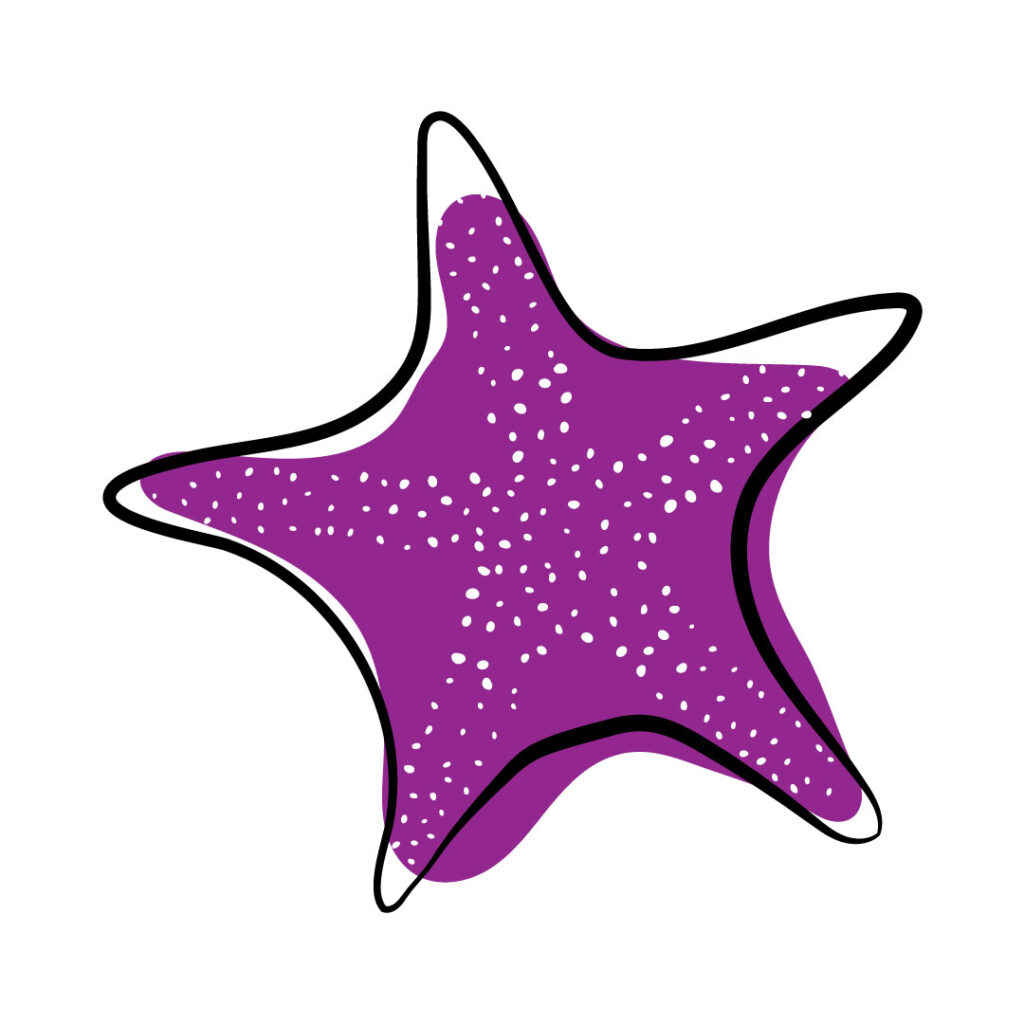 Logo version B-purple. Stylized vector starfish shape in black, filled in with purple.
