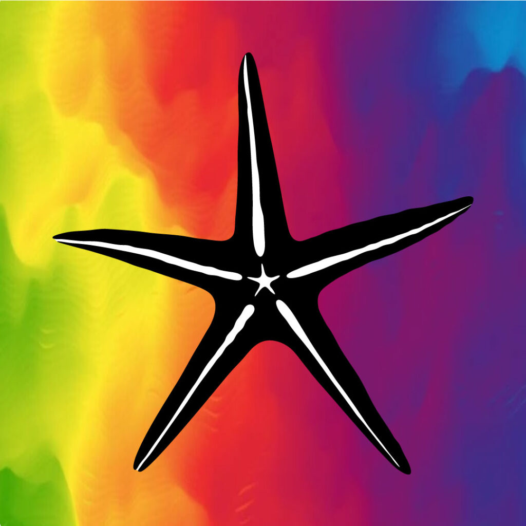 Logo version C-rainbow special. A square filled with a vibrant rainbow gradient, with a slender vector starfish shape in black and white centered in it.