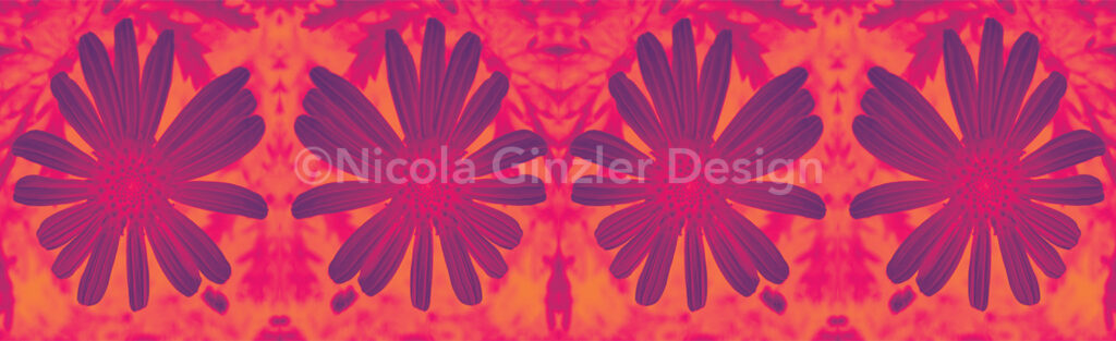 Horizontal rectangle. Repeating pattern of a photo of a single Paris Daisy, heavily color-manipulated so it's orange and magenta.