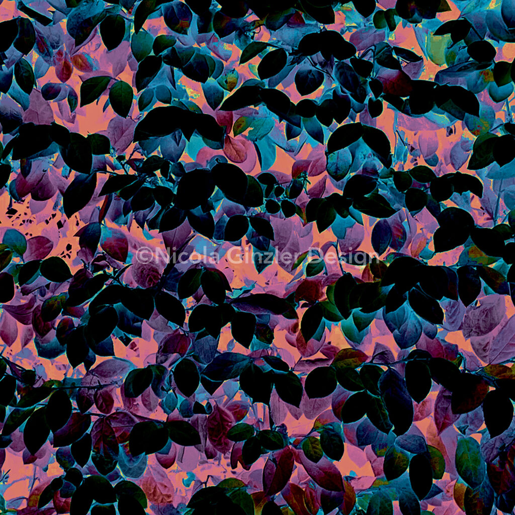 Image of an altered photo of a hedge with small round leaves. Colors are purples and blues with highlights of coral.