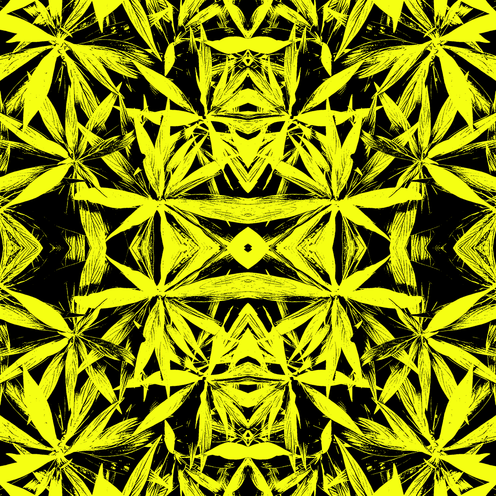 Repeating pattern of a high contrast photo of spiky leaves in black, with a vibrant yellow background.