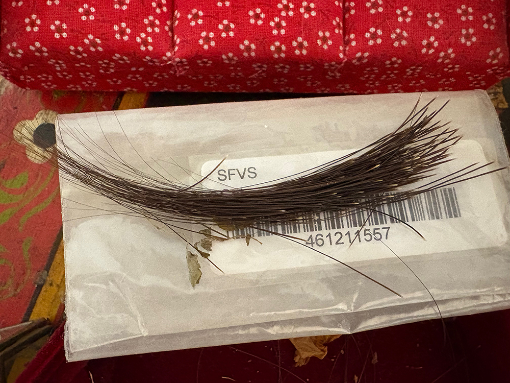 Photo of a lot of Lucy's fallen black whiskers