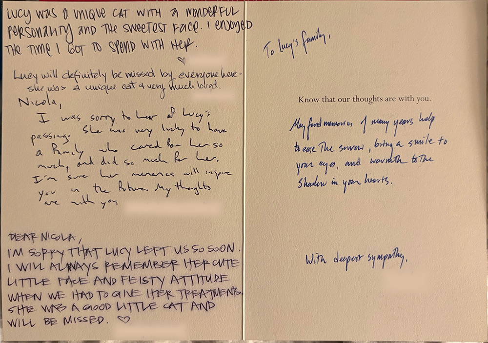 Photo of the inside of a greeting card with sweet messages from Lucy's vet office.
