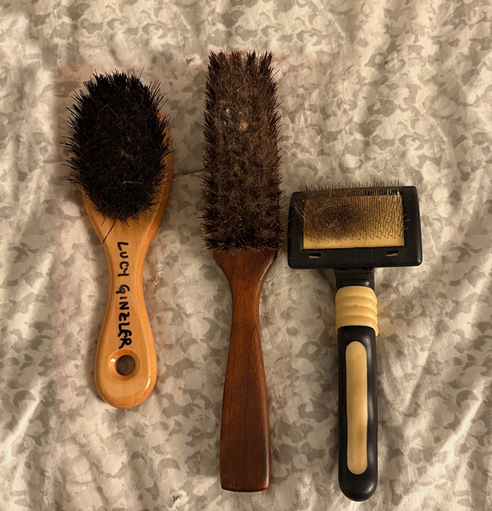 Photo of 3 brushes for Lucy's fur: a small, soft brush with black bristles and a light wood handle, a larger brush with dark boar bristles and a dark wood handle and a small wire brush with a black plastic handle.