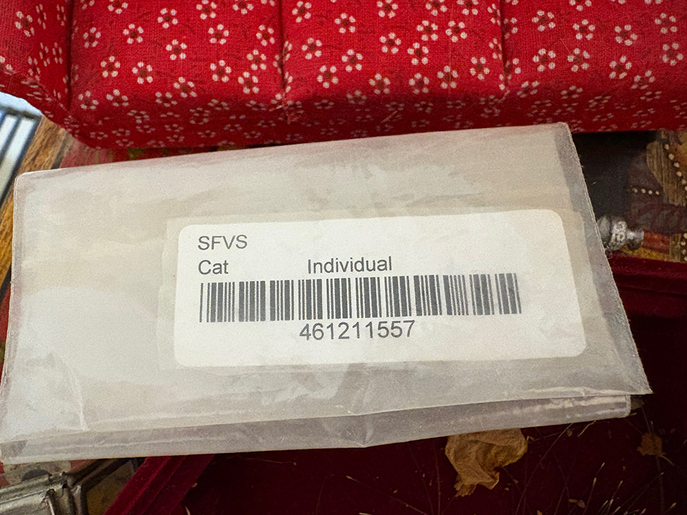 Photo of a small empty plastic bag that previously contained Lucy's ashes.