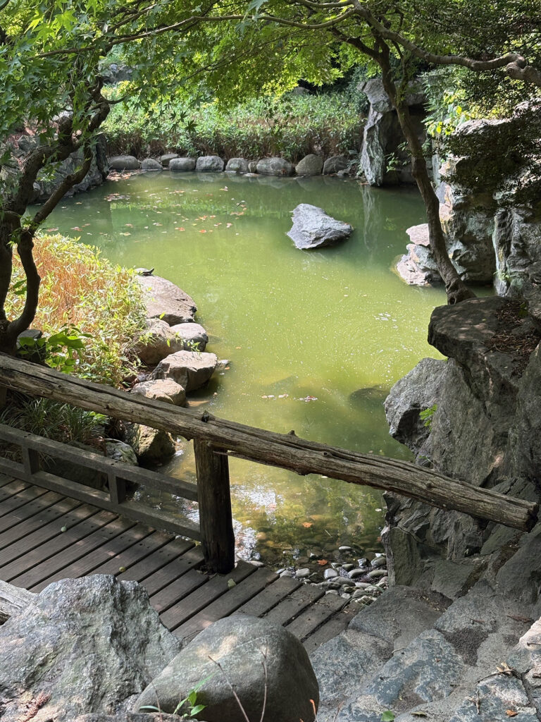 Brooklyn Botanical Garden 7 - Pond with turtle