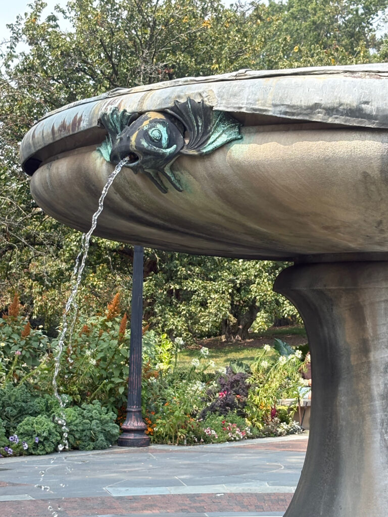 Brooklyn Botanical Garden 35 - Fountain
