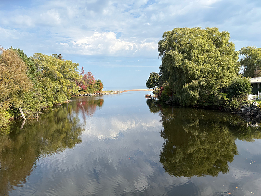 Estuary between banks with green trees