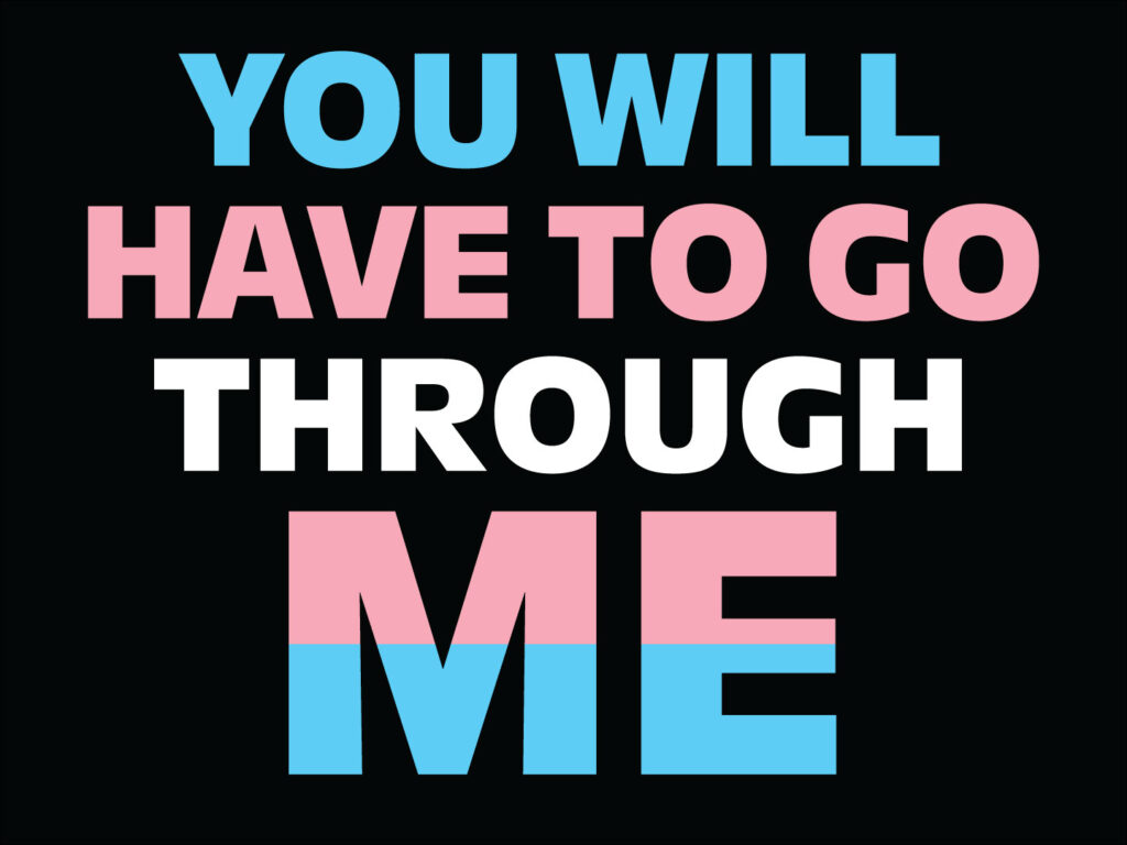 Horizontal protest sign with black background. Centered text in blocky all-caps typeface: "YOU WILL HAVE TO GO THROUGH ME." Colors of the words follow the colors of the trans flag, in this order: light blue, light pink, white, light pink, light blue. One color per line, except "ME," which is horizontally split between pink (top) and blue (bottom).