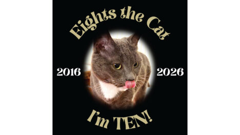 Eights the Cat is TEN! 